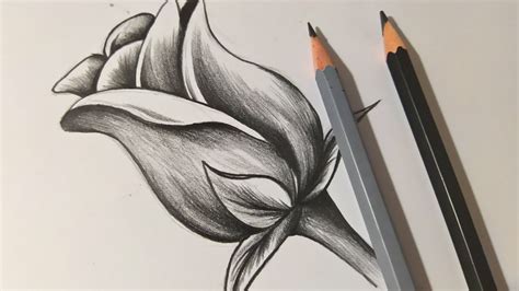flores para dibujar a lápiz